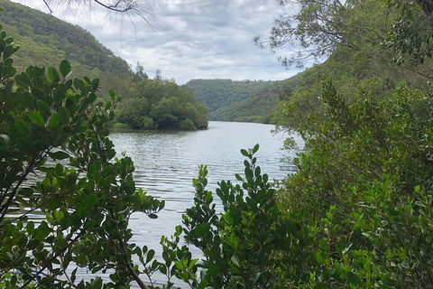 Kayak Berowra Valley - Surfers Paradise Gold Coast 17