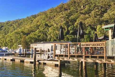 Kayak Berowra Valley - Surfers Paradise Gold Coast 4