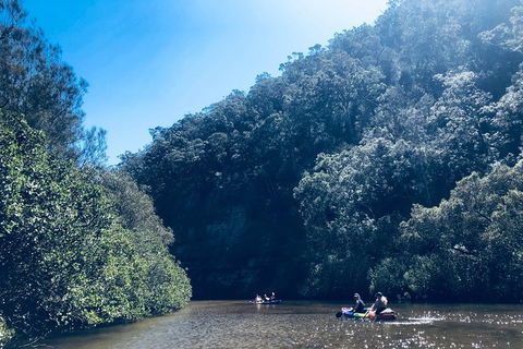 Kayak Berowra Valley - Surfers Paradise Gold Coast 18