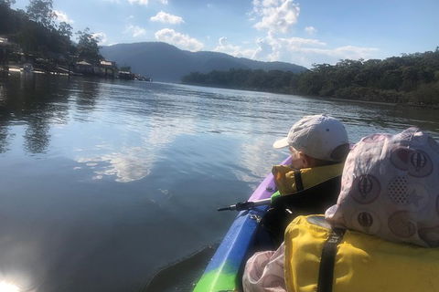 Kayak Berowra Valley - Surfers Paradise Gold Coast 8