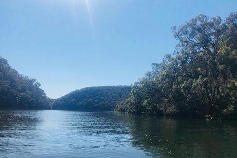Kayak Berowra Valley - Surfers Paradise Gold Coast 3