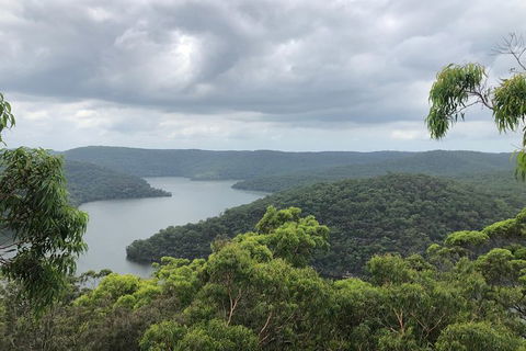 Kayak Berowra Valley - Surfers Paradise Gold Coast 11