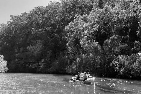Kayak Berowra Valley - Surfers Paradise Gold Coast 2