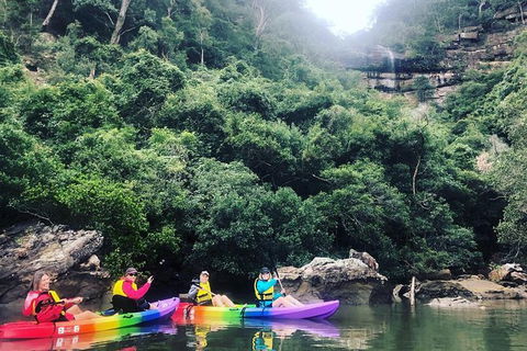 Kayak Berowra Valley - Surfers Paradise Gold Coast 9