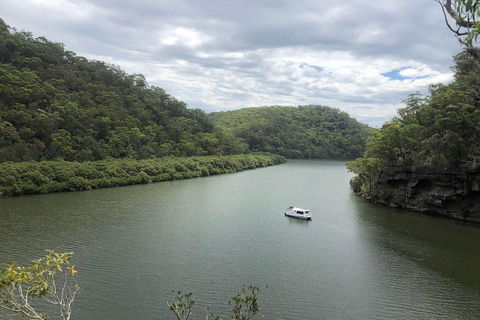Kayak Berowra Valley - Surfers Paradise Gold Coast 12