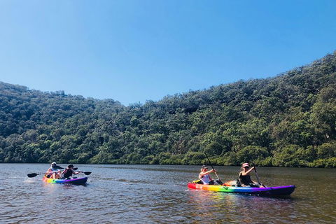 Kayak Berowra Valley - Surfers Paradise Gold Coast 14