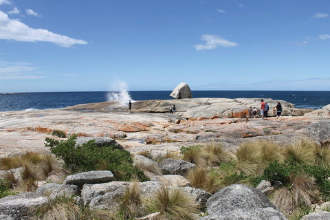 Bicheno Blowhole - Surfers Paradise Gold Coast 1
