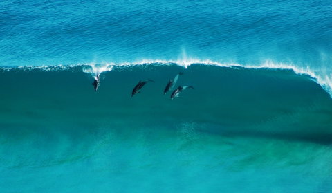 Sand Patch - Surfers Paradise Gold Coast 1