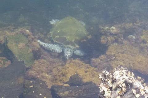 Sawtell To Coffs Harbour Bike Ride - Surfers Paradise Gold Coast 4