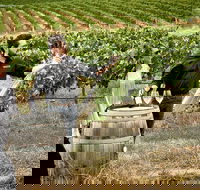 VIP Soil-To-Cellar Experience - Surfers Paradise Gold Coast