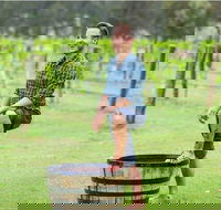 Hunter Valley Grape Stomping - Surfers Paradise Gold Coast