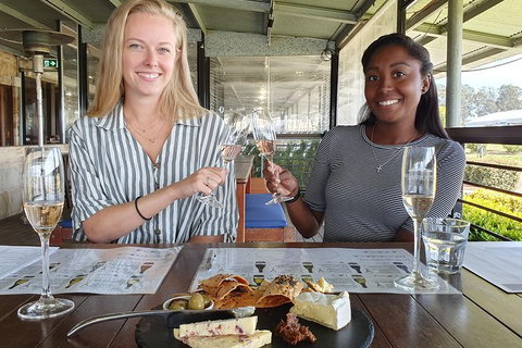 Hunter Valley Exclusive Kangaroo And Wine Tasting Experience - Surfers Paradise Gold Coast 7