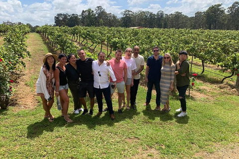 Hunter Valley Exclusive Kangaroo And Wine Tasting Experience - Surfers Paradise Gold Coast 6