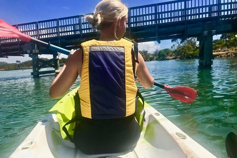 2-Hour Rental Kayak Double In Brunswick River - Surfers Paradise Gold Coast 3
