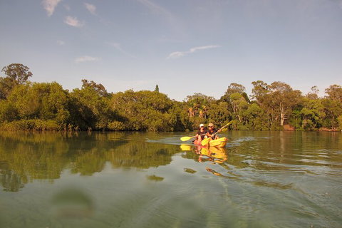 2-Hour Rental Kayak Double In Brunswick River - Surfers Paradise Gold Coast 5