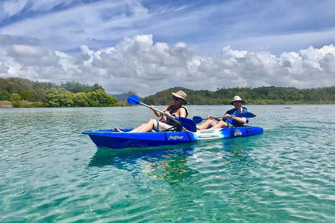 2-Hour Rental Kayak Double In Brunswick River - Surfers Paradise Gold Coast 0