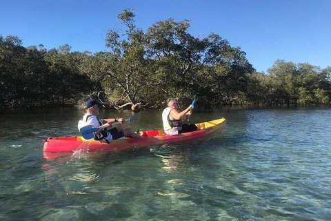 2-Hour Rental Kayak Double In Brunswick River - Surfers Paradise Gold Coast 4