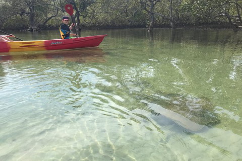 2-Hour Rental Kayak Double In Brunswick River - Surfers Paradise Gold Coast 6