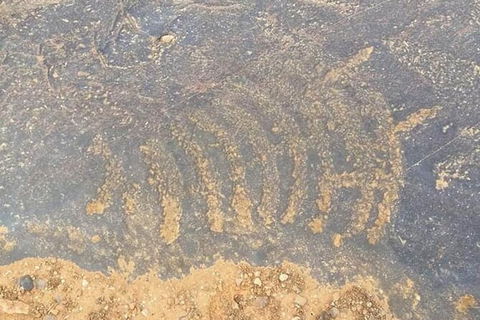Aboriginal Rock Art - Surfers Paradise Gold Coast 0