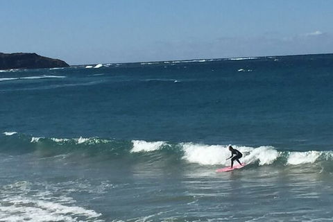 Red Dog Surf - Professional Surf Lessons - Surfers Paradise Gold Coast 1