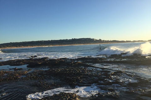 Red Dog Surf - Professional Surf Lessons - Surfers Paradise Gold Coast 2
