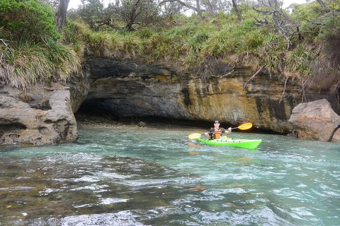 Half-Day Jervis Bay Sea Kayak Tour - Surfers Paradise Gold Coast 8