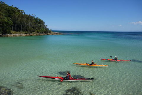 Half-Day Jervis Bay Sea Kayak Tour - Surfers Paradise Gold Coast 3
