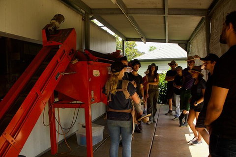 Pecan Farm Tour And Workshop, Byron Bay Hinterland - Surfers Paradise Gold Coast 4