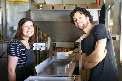 Pecan Farm Tour And Workshop, Byron Bay Hinterland - Surfers Paradise Gold Coast 7