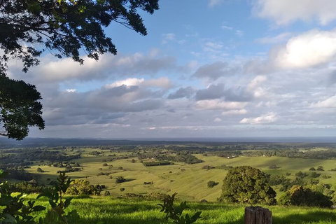 Pecan Farm Tour And Workshop, Byron Bay Hinterland - Surfers Paradise Gold Coast 1