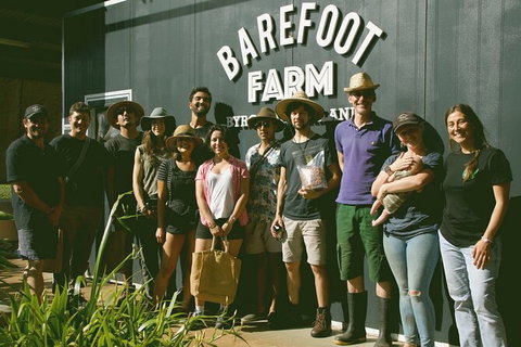 Pecan Farm Tour And Workshop, Byron Bay Hinterland - Surfers Paradise Gold Coast 0