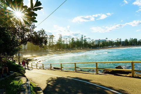 Sydney With Bondi And Beaches Essentials Private Day Tour - Surfers Paradise Gold Coast 8