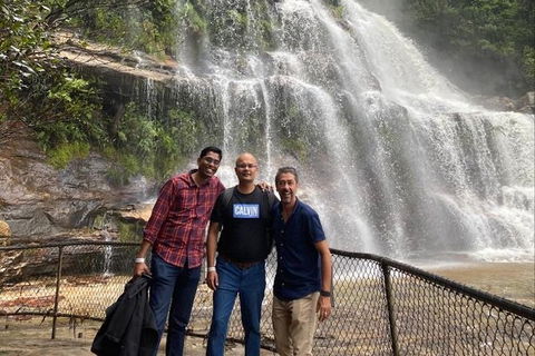 Blue Mountains Highlights & Wildlife Park - Surfers Paradise Gold Coast 4