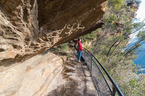 Blue Mountains Highlights & Wildlife Park - Surfers Paradise Gold Coast 0