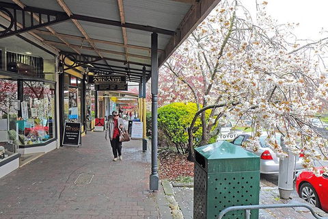 Blue Mountains Highlights & Wildlife Park - Surfers Paradise Gold Coast 2