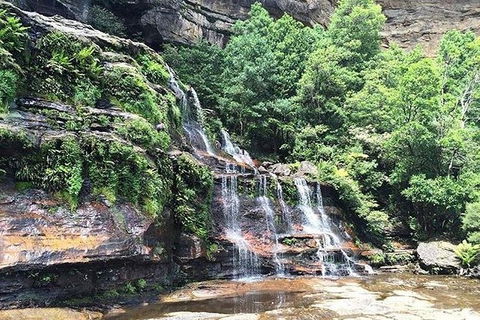 Blue Mountains Highlights & Wildlife Park - Surfers Paradise Gold Coast 8