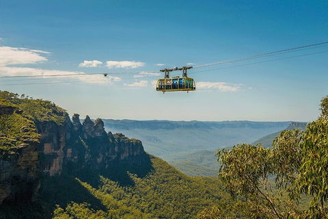 Blue Mountains Highlights, Wildlife Park And Scenic World Full Day Private Tour - Surfers Paradise Gold Coast 0