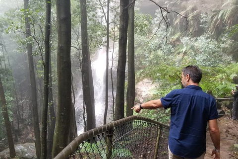 Blue Mountains Highlights, Wildlife Park And Scenic World Full Day Private Tour - Surfers Paradise Gold Coast 6