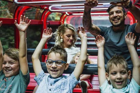 Blue Mountains Highlights, Wildlife Park And Scenic World Full Day Private Tour - Surfers Paradise Gold Coast 5