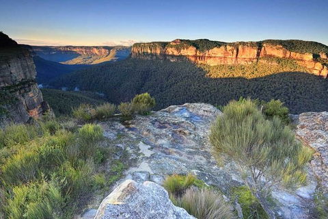 Blue Mountains Highlights, Wildlife Park And Scenic World Full Day Private Tour - Surfers Paradise Gold Coast 4
