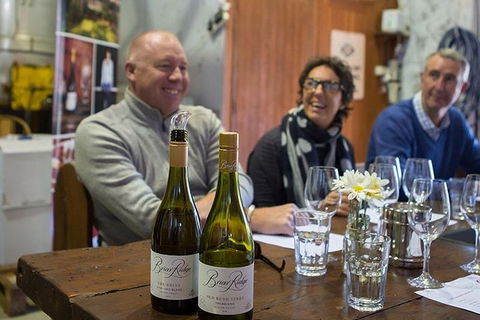 Hunter Valley Highlights Private Wine Tour From Sydney - Surfers Paradise Gold Coast 1