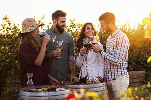 Hunter Valley Highlights Private Wine Tour From Sydney - Surfers Paradise Gold Coast 0