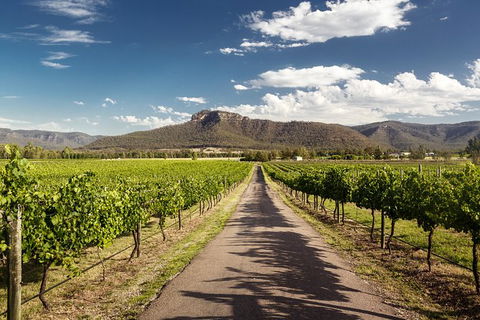 Hunter Valley Highlights Private Wine Tour From Sydney - Surfers Paradise Gold Coast 2