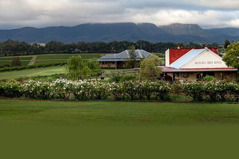 Hunter Valley Highlights Private Wine Tour From Sydney - Surfers Paradise Gold Coast 5