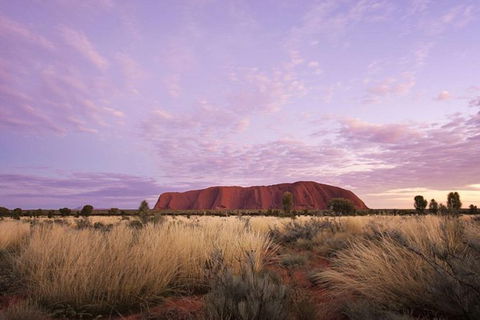 Explore Uluru: 7 Hours Guide Tour At Sunrise With Light Breakfast - Surfers Paradise Gold Coast 4
