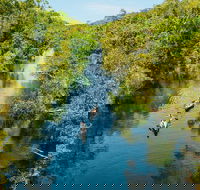 Cruise 'n' Canoe to Australia's Everglades - Surfers Paradise Gold Coast