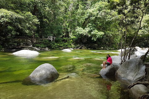 Aboriginal Cultural Daintree Rainforest Tour From Cairns Or Port Douglas - Surfers Paradise Gold Coast 5