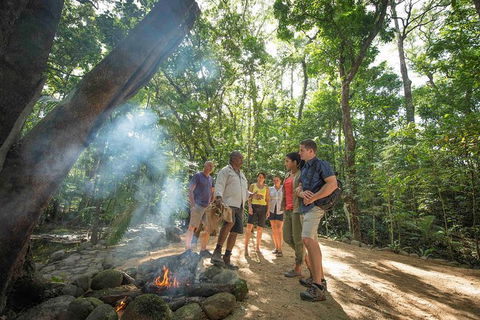 Aboriginal Cultural Daintree Rainforest Tour From Cairns Or Port Douglas - Surfers Paradise Gold Coast 3