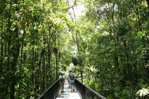 Aboriginal Cultural Daintree Rainforest Tour From Cairns Or Port Douglas - Surfers Paradise Gold Coast 4