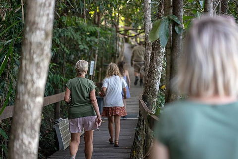 Daintree Rainforest, Cape Tribulation And Bloomfield Track Small Group Tour - Surfers Paradise Gold Coast 15